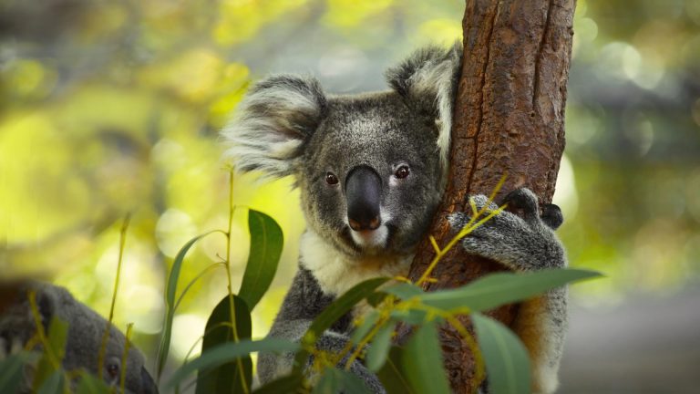 Niezwykłe miejsca w Australii