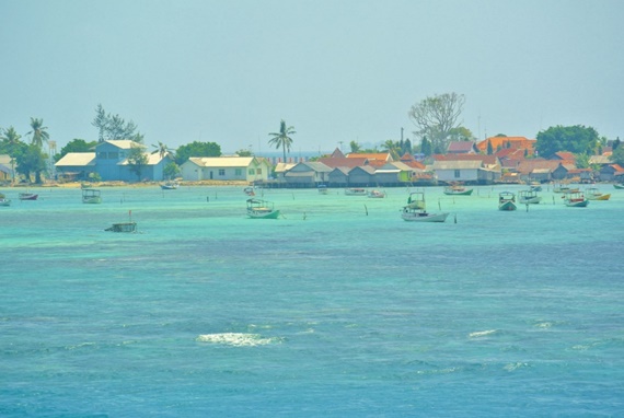 Extravita karimun 030 