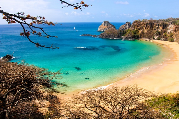 Praia do Sancho Fernando de Noronha brazilia 