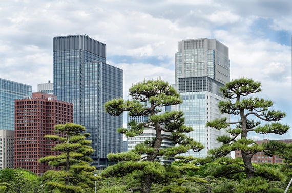 deschidere tokyo 