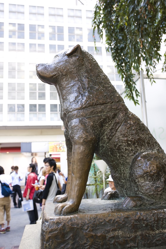 shibuya station 