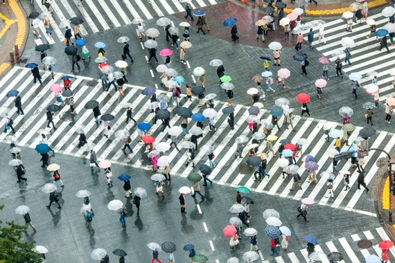 shibuya 
