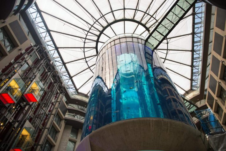 berlin aquadom 2 c kaja wolnicka