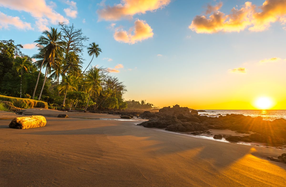 costa rica seashore in corcovado national park 