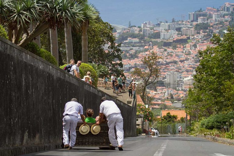 Carreiros do Monte3@miguelmoniz.jpg