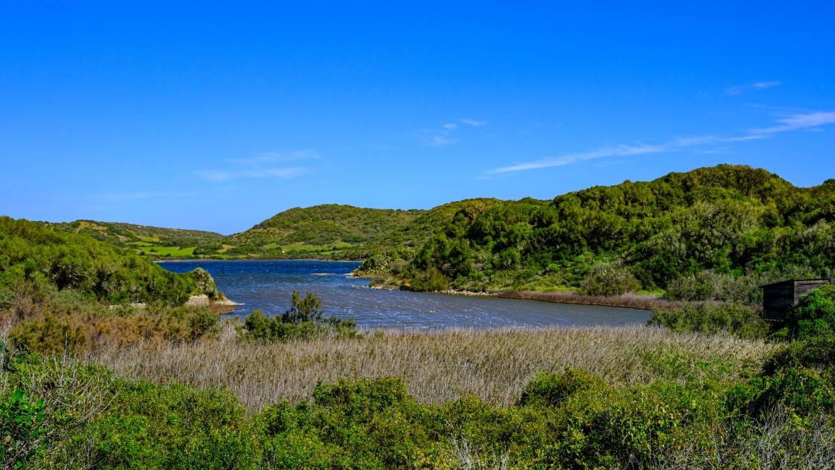 s'Albufera des Grau © iStock