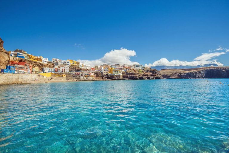 sardina del norte gran canaria.jpg