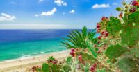 Fuerteventura, Wyspy Kanaryjskie © Shutterstock