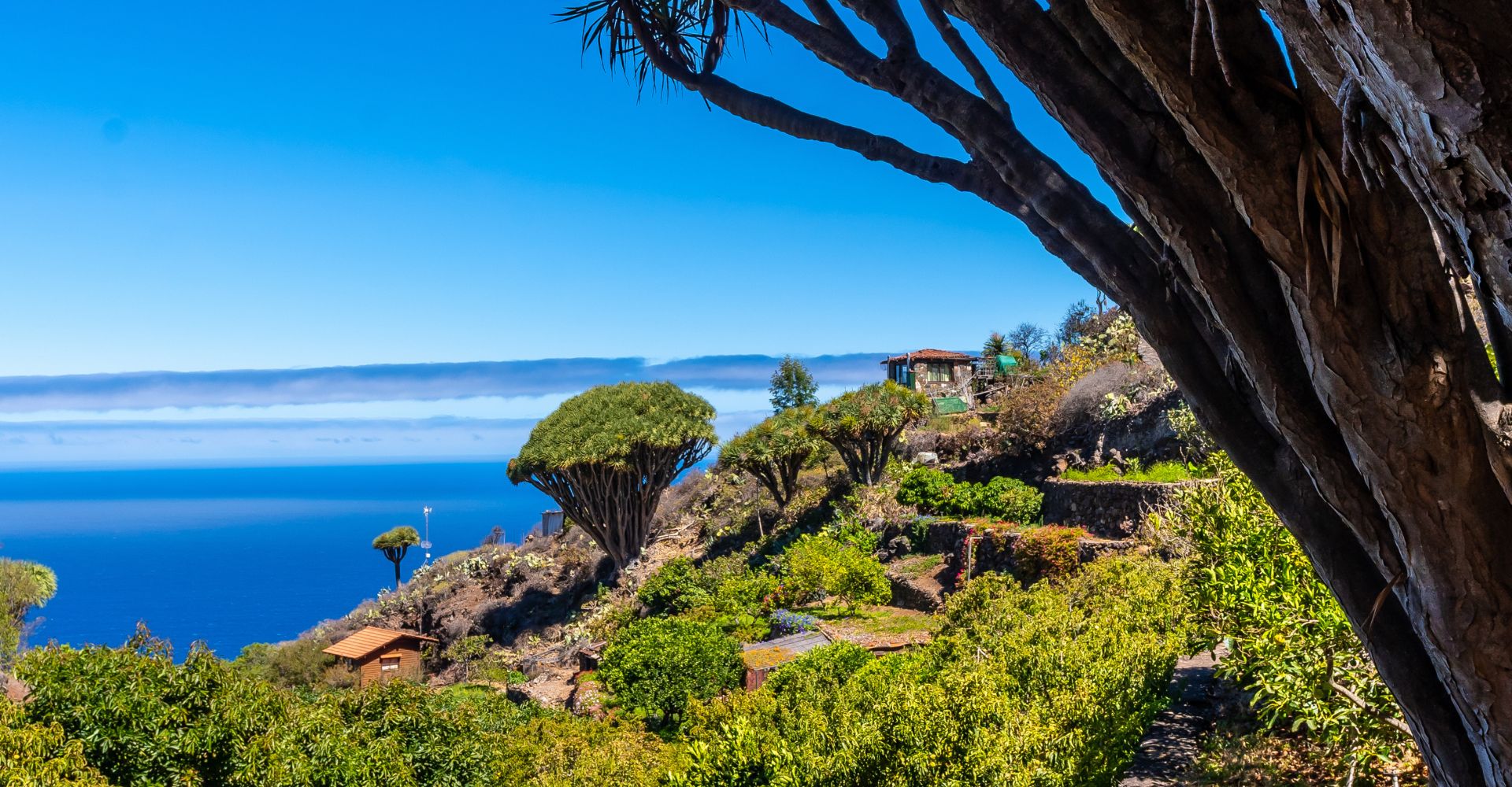 La Palma, Wyspy Kanaryjskie, Hiszpania © Shutterstock