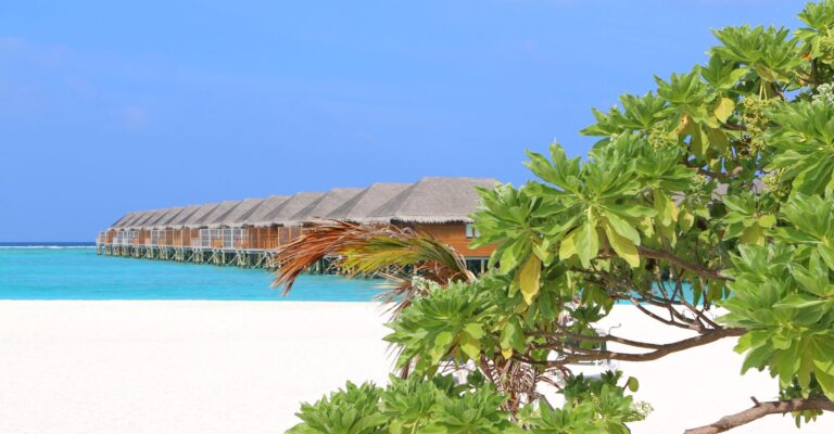 Plaża Malediwy © Shutterstock