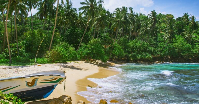 Plaża Mirissa Sri Lanka © Shutterstock
