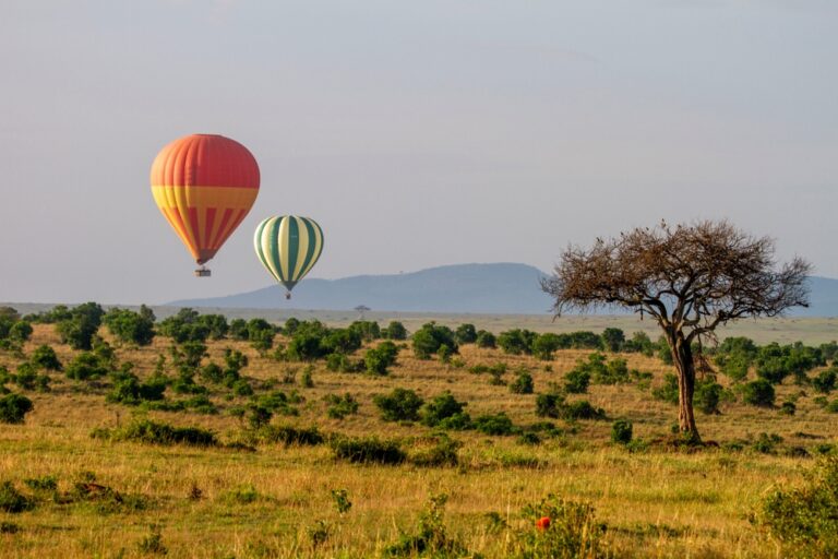 Masai Mara, Kenia © Shutterstock