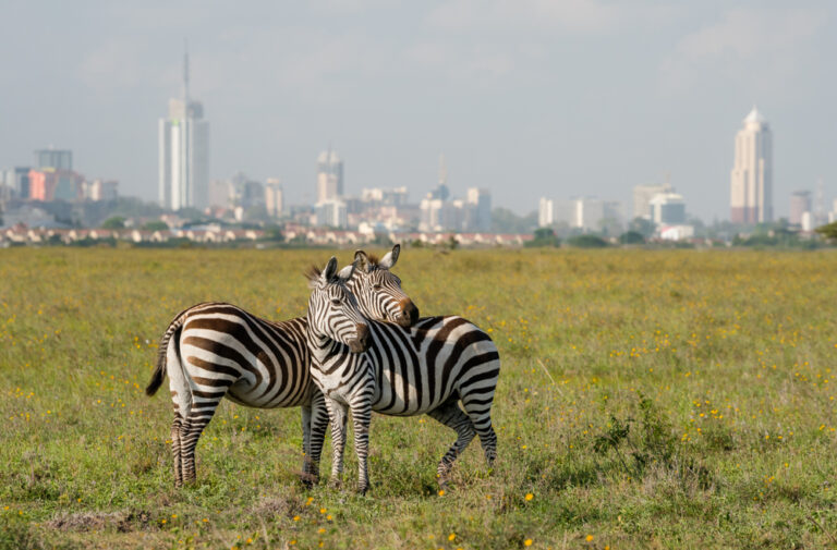 Park Narodowy Nairobi, Kenia © Shutterstock