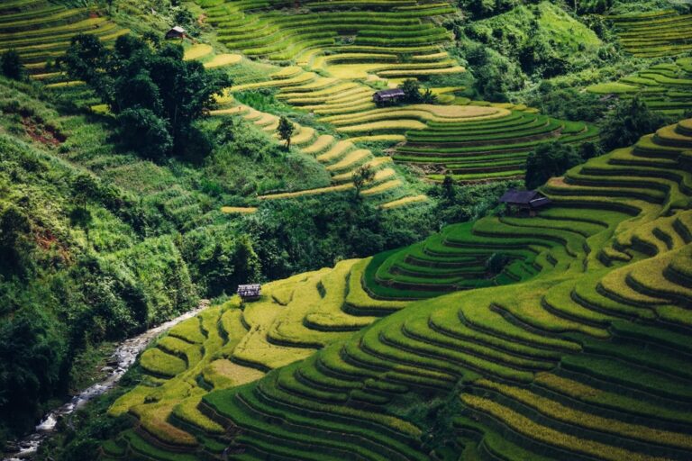 Yen Bai – Mu Cang Chai, Wietnam © Shutterstock