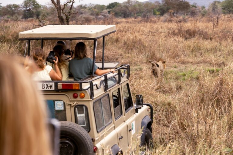Jednodniowa wycieczka na tanzańskie safari, z Zanzibaru do parku narodowego Mikumi © Shutterstock