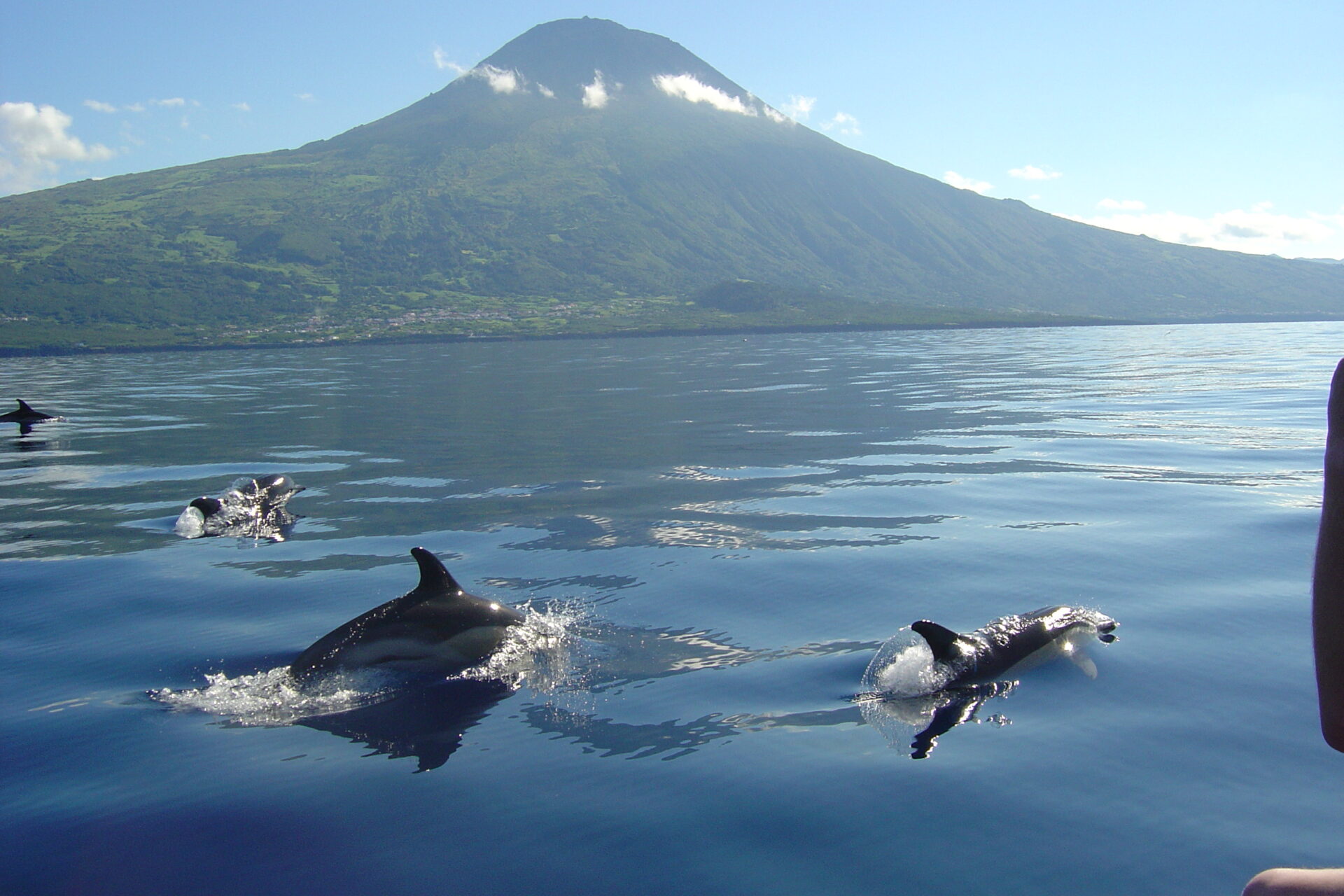 Azores03_Credit-Norberto-Diver-Azores-Turismo.jpg