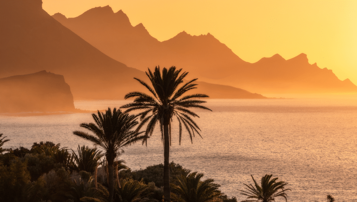 Zdjęcie przedstawia zachód słońca na wyspie Gran Canaria. Słońce maluje niebo na ciepłe odcienie pomarańczu i złota, oświetlając skaliste wybrzeże i szczyty gór. Na pierwszym planie widoczne są sylwetki palm, a woda oceanu odbija światło.