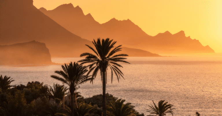 Zdjęcie przedstawia zachód słońca na wyspie Gran Canaria. Słońce maluje niebo na ciepłe odcienie pomarańczu i złota, oświetlając skaliste wybrzeże i szczyty gór. Na pierwszym planie widoczne są sylwetki palm, a woda oceanu odbija światło.