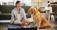 petsitter opieka dla psa podczas wyjazdu