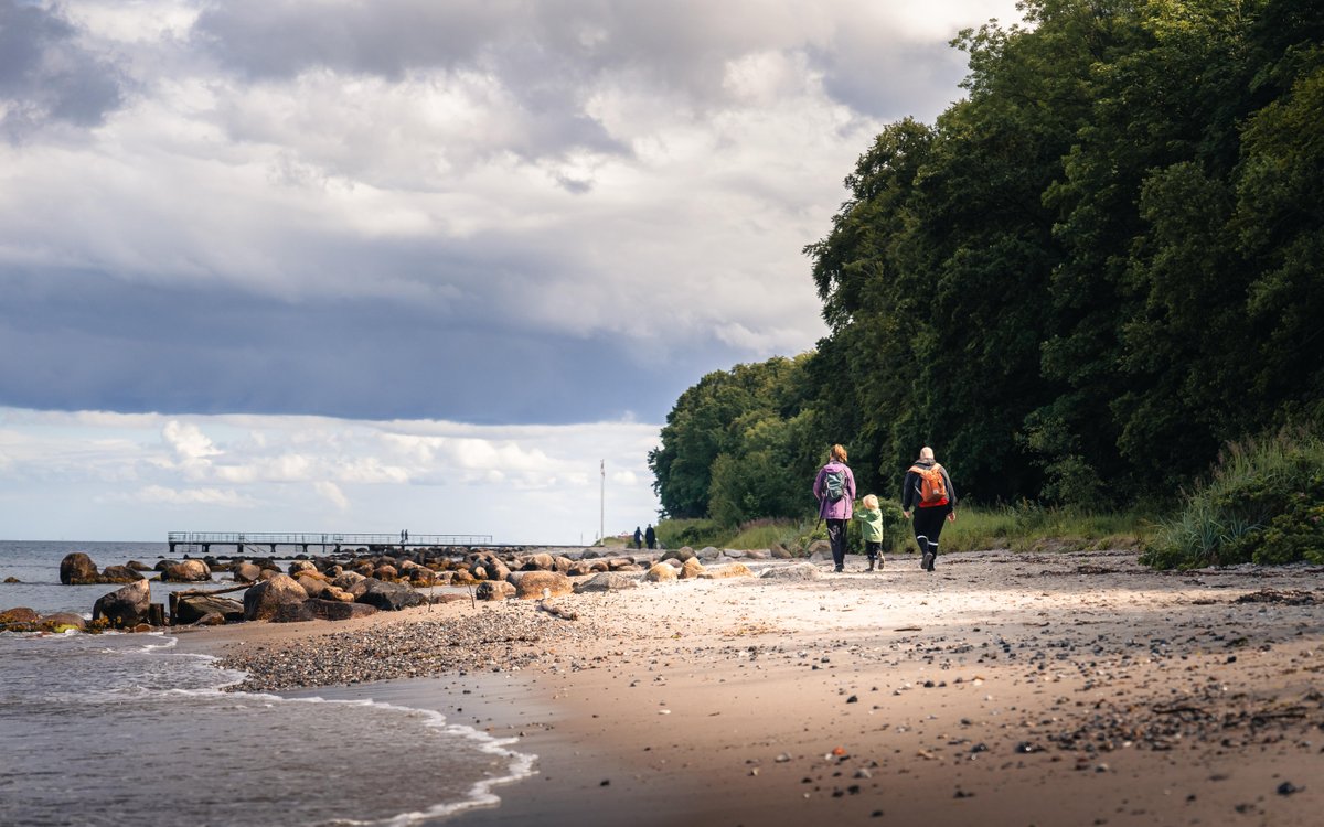 rodzina na plaży w Danii, Plaża Ballehage Strand w Aarhus [c] Jakob Vingtoft, Visit Denmark