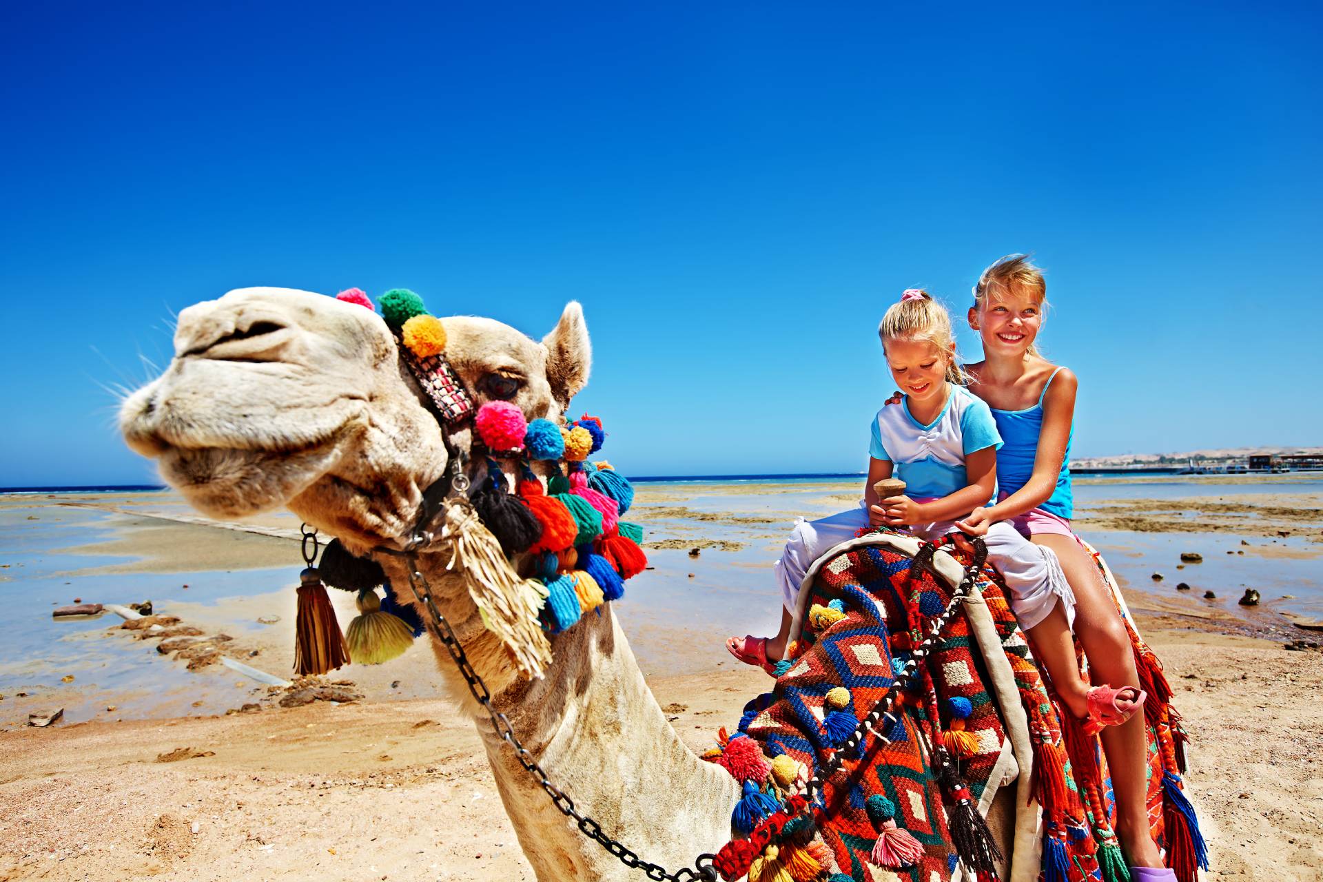 Dzieci podczas przejażdżki na wielbłądzie po egipskiej plaży © Shutterstock