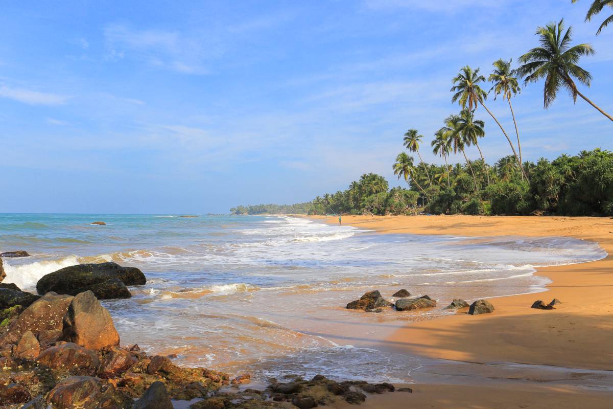 Dzika tropikalna plaża Bentota i ocean na Sri Lance © Shutterstock