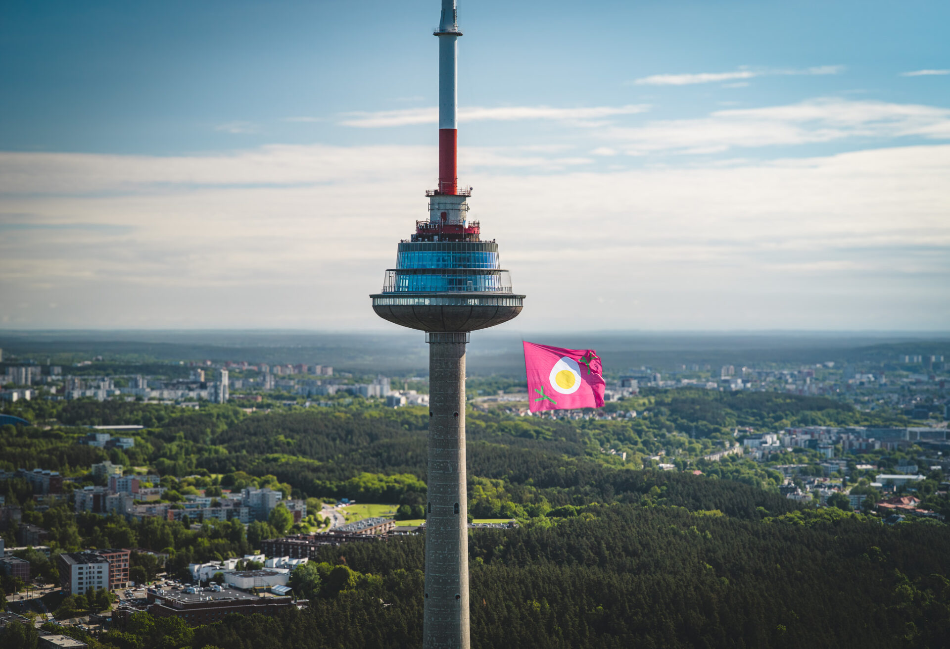 Go-Vilnius-PinkSoupFlag-Domantas Kancleris (4)