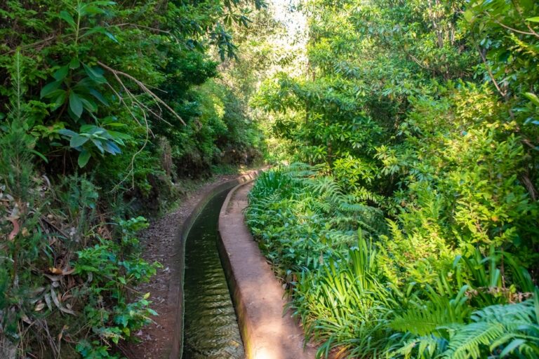 Levada do Re, Madera, Portugalia © Shutterstock