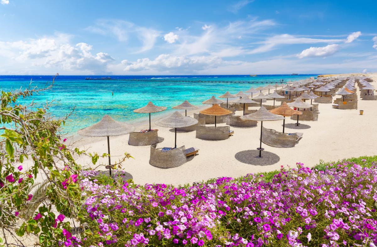 Plaża w Marsa Alam w Egipcie, na zdjęciu różowe kwiatki i plecione parasole