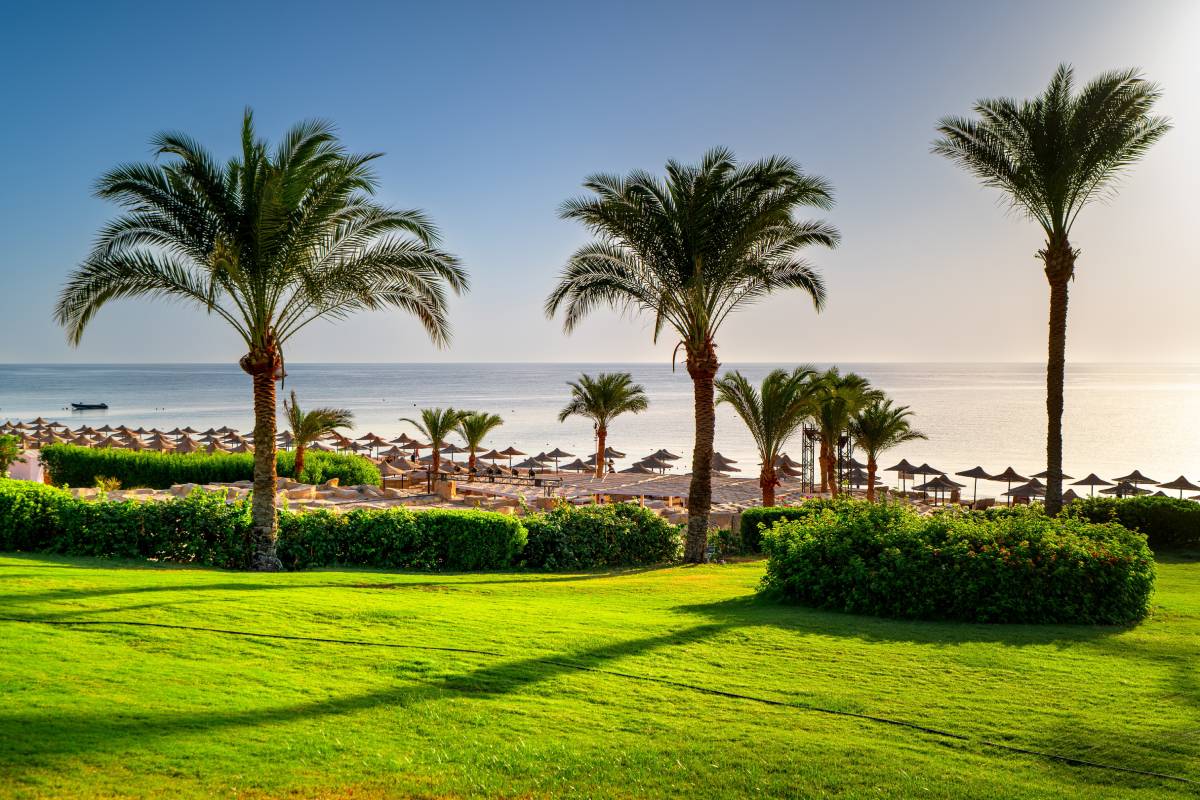 Nadmorski kurort wypoczynkowy nad Morzem Czerwonym, Marsa Alam, Egipt, Afryka © Shutterstock