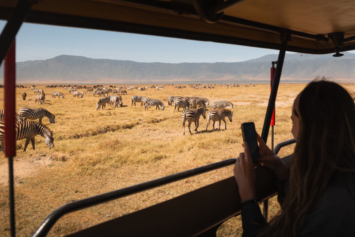 Turystka podziwiająca zebry podczas safari © Shutterstock