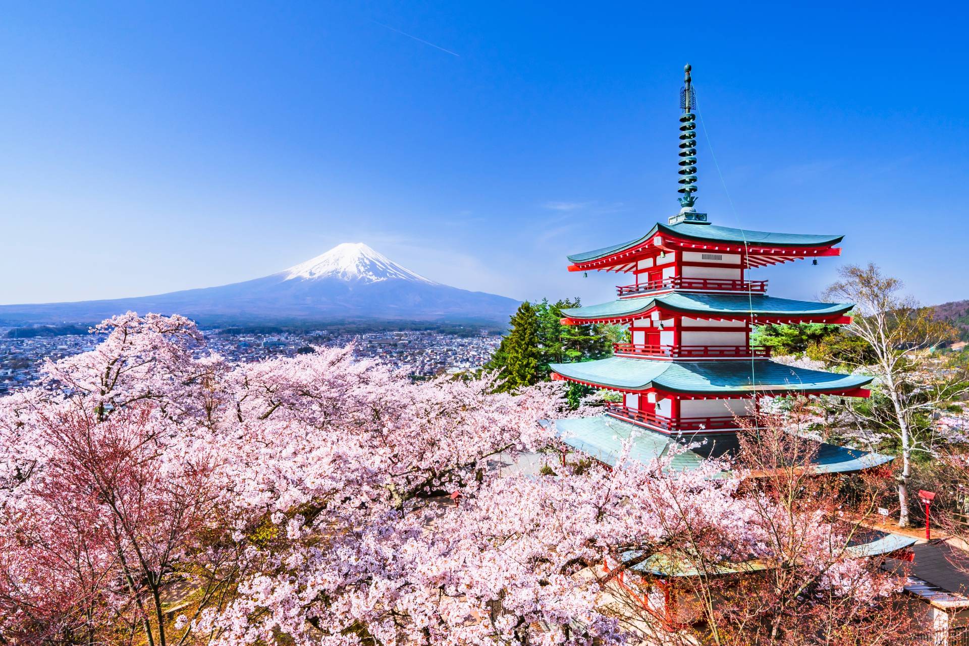 Pagoda Chureito i Góra Fuji. - Yamanashi, Japonia © Shutterstock
