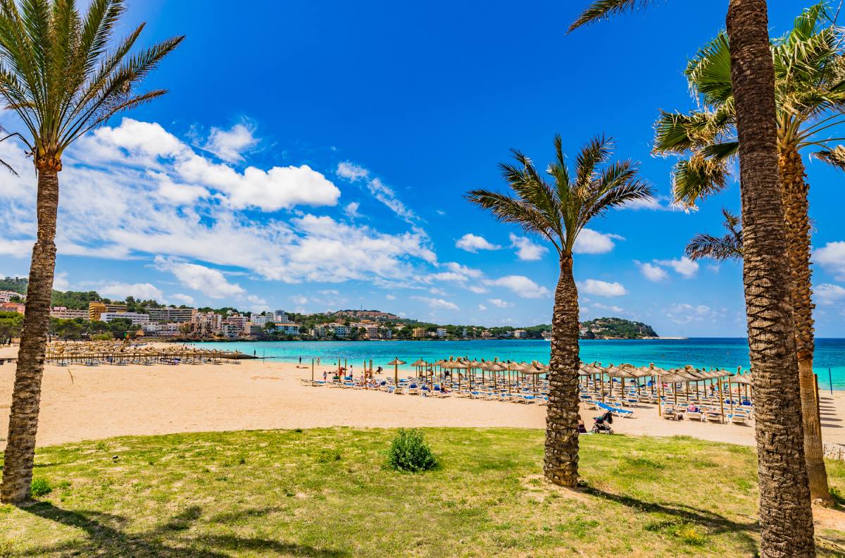 Piaszczysta plaża w Santa Ponsa na Majorce  © Shutterstock