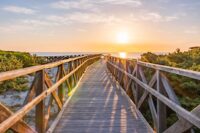 Playa de Muro – spoglądając na ibisy © Shutterstock