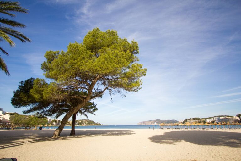 Plaża Majorka Santa Ponsa © Shutterstock