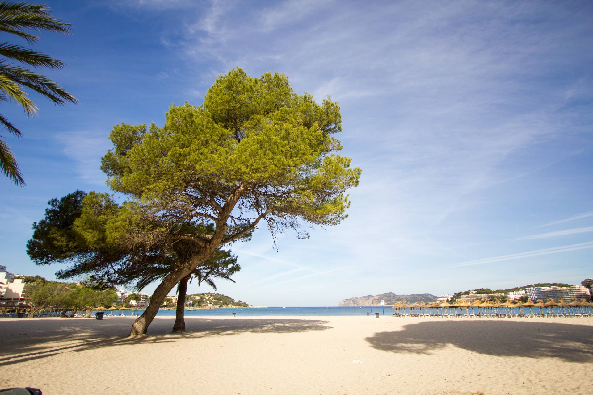 Plaża Majorka Santa Ponsa © Shutterstock