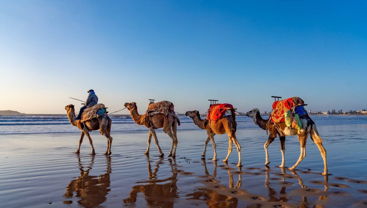 Plaża w Essaouira Maroko Afryka © Shutterstock