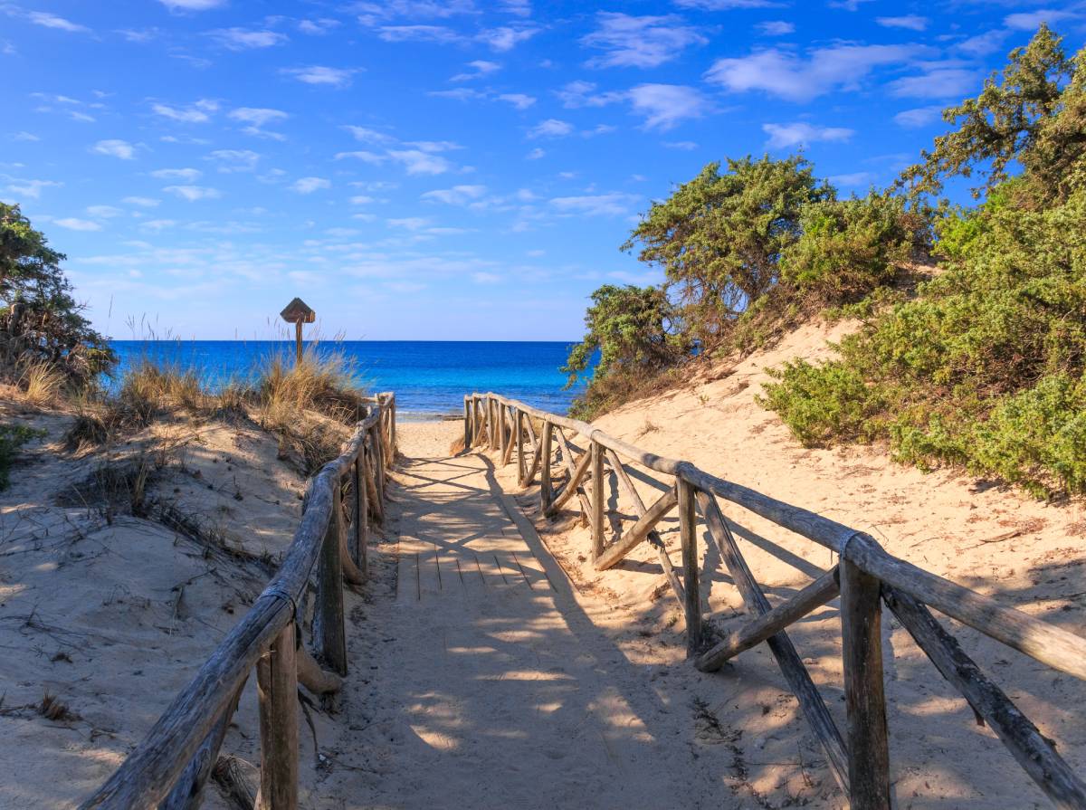 Ścieżka przez wydmy morskie na plaży Punta Prosciutto w pobliżu miasta Porto Cesareo w Apulii © Shutterstock