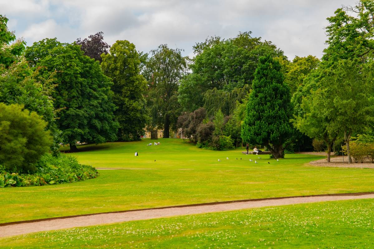 Widok na park Slottsskogen w Göteborgu w Szwecji © Shutterstock