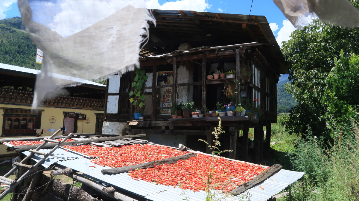 Papryczki chili w Bhutanie Szymon Żyliński