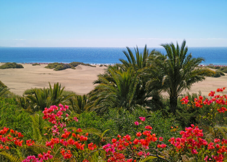 Wydmy Maspalomas na Gran Canarii z widokiem na ocean, otoczone palmami i kwitnącymi krzewami.