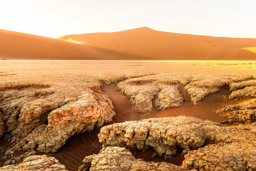 Spękana, wysuszona ziemia na pustyni w dolinie Dead Vlei w Parku Narodowym Namib-Naukluft w Namibii o wschodzie słońca