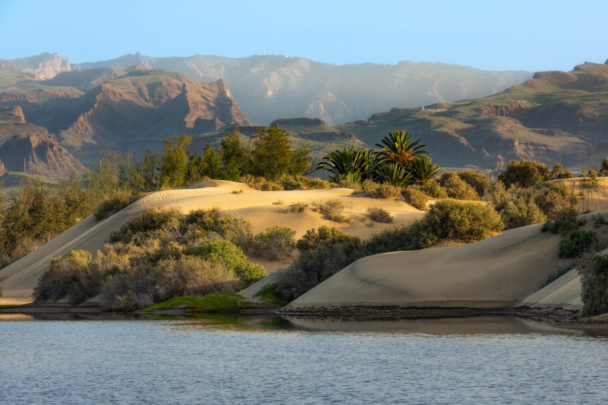 Złote wydmy porośnięte roślinnością w Maspalomas na Gran Canarii, w tle majestatyczne góry i spokojna laguna. Turismo de Gran Canaria