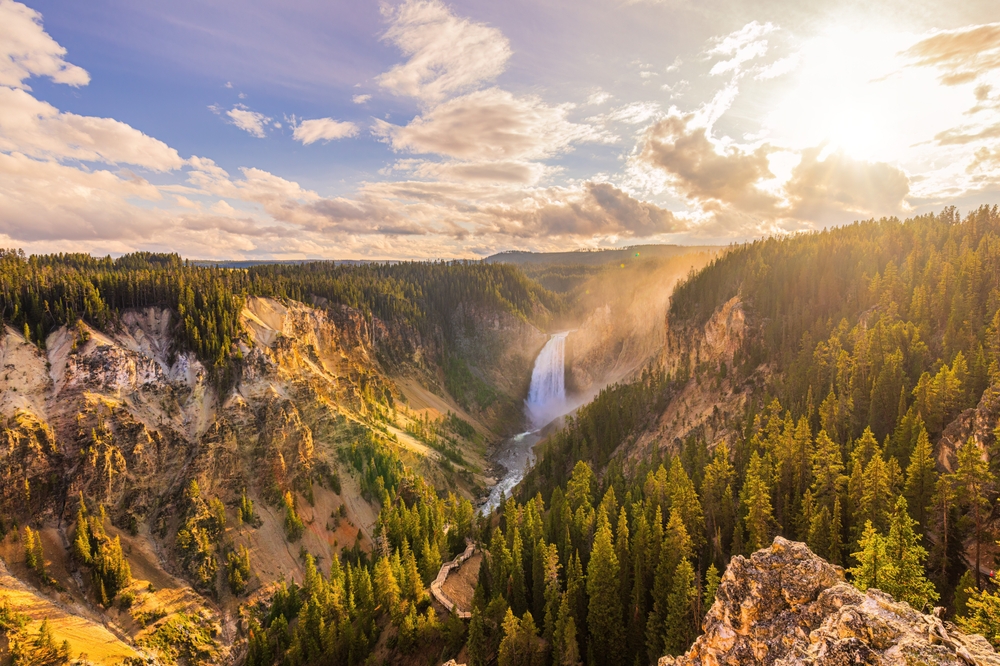 Widok na wodospad i porośnięty lasem Grand Canyon of the Yellowstone w Parku Narodowym Yellowstone w USA o zachodzie słońca