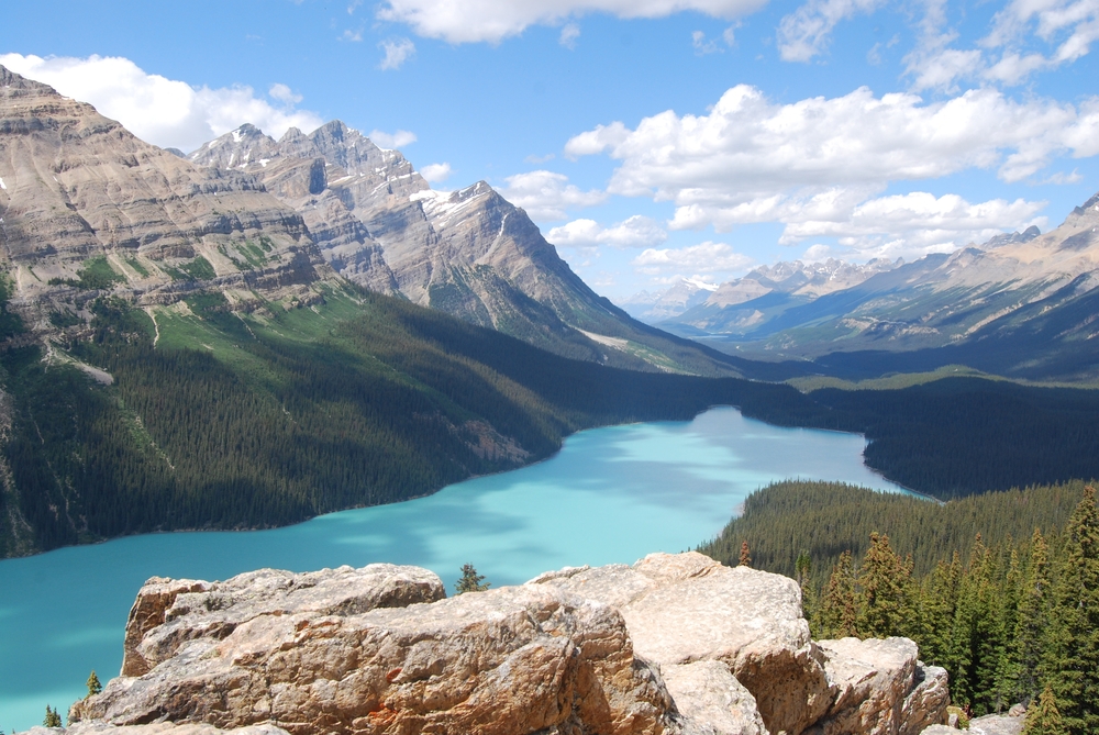 Turkusowe jezioro Peyto otoczone lasami iglastymi i Górami Skalistymi w Parku Narodowym Banff w prowincji Alberta w Kanadzie