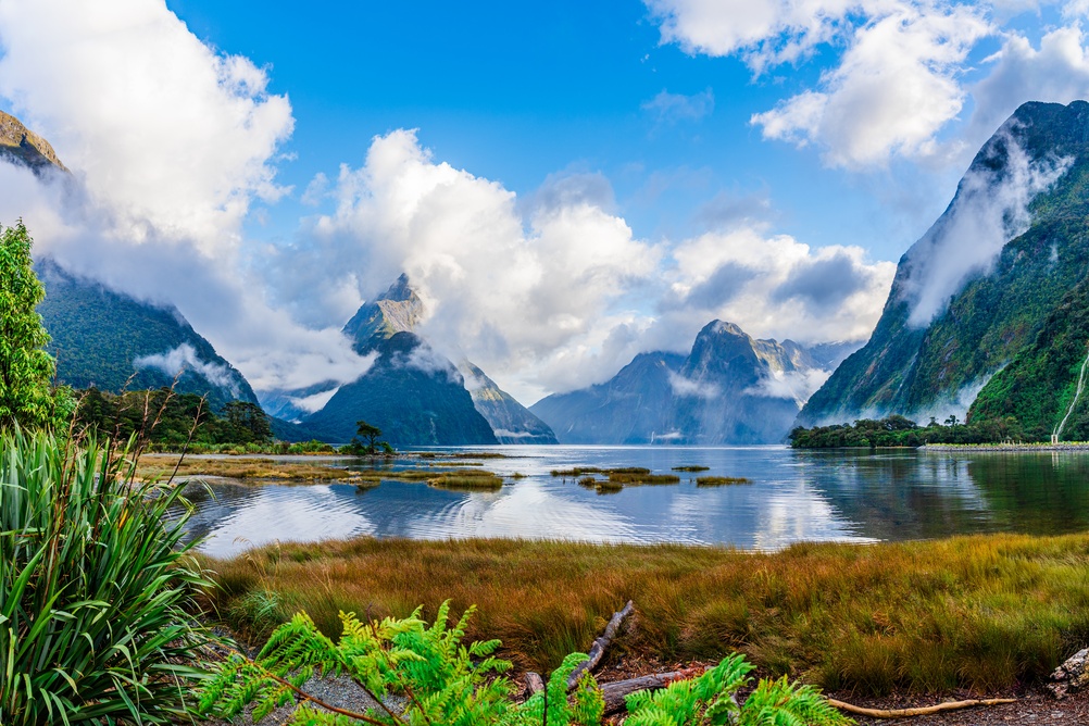 Fiord Milford Sound w Parku Narodowym Fiordland w Nowej Zelandii, otoczony stromymi zielonymi górami i szczytem Mitre Peak spowitym chmurami