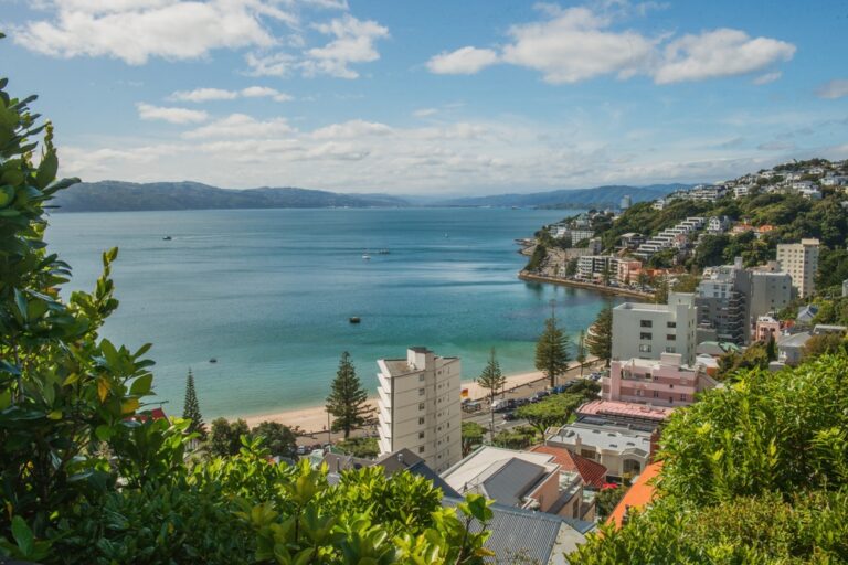 Widok z góry na zatokę Oriental Bay w Wellington w Nowej Zelandii, z piaszczystą plażą, nadmorską zabudową i zielonymi wzgórzami