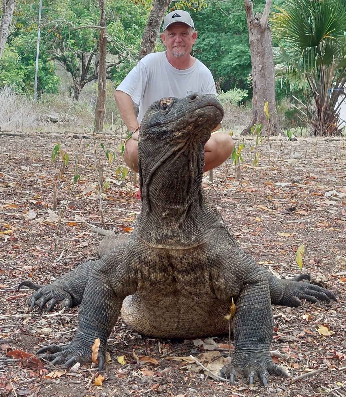 waran z komodo piotr śmieszek