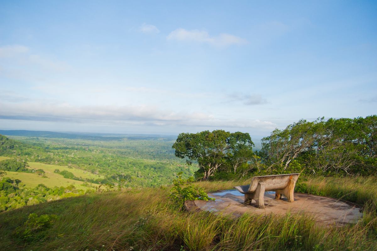 Ławeczka z widokiem na Shimba Hills © Shutterstock