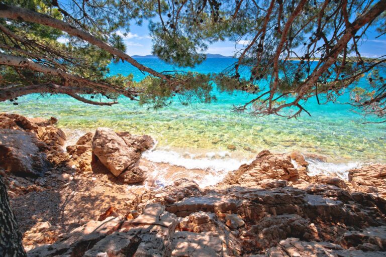 widok na turkusową plażę przez sosnowe drzewa na Riwierze Zadarskiej, Pakoštane w regionie Dalmacji w Chorwacji © Shutterstock